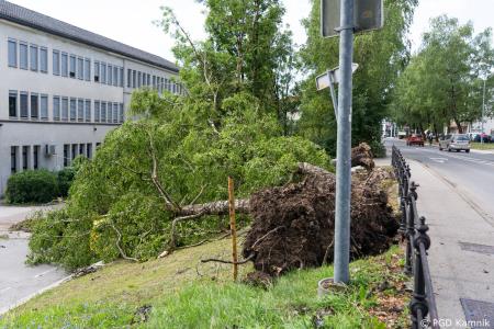 Stanje na terenu (14)